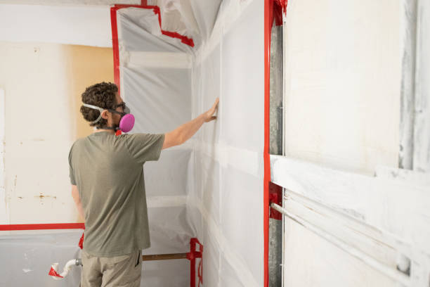 Dehumidification Services in Princeton Meadows, NJ