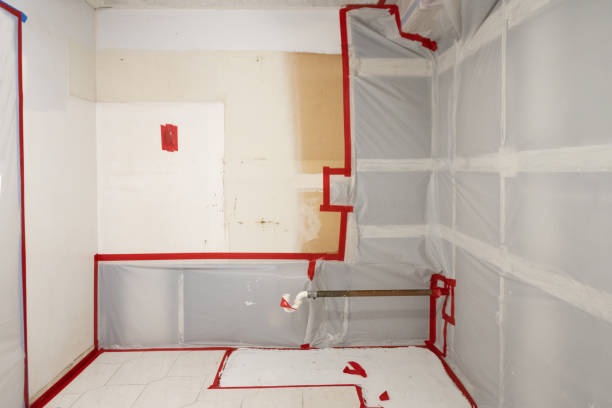 Best Biohazard Mold Removal  in Princeton Meadows, NJ