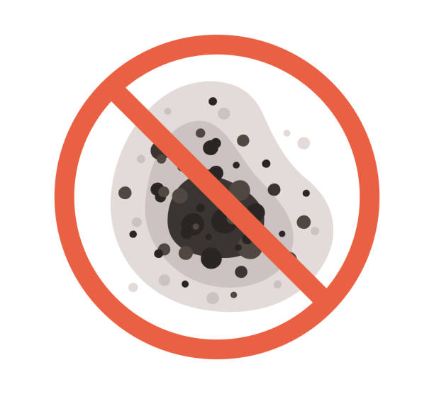 Best Mold Remediation for Healthcare Facilities  in Princeton Meadows, NJ