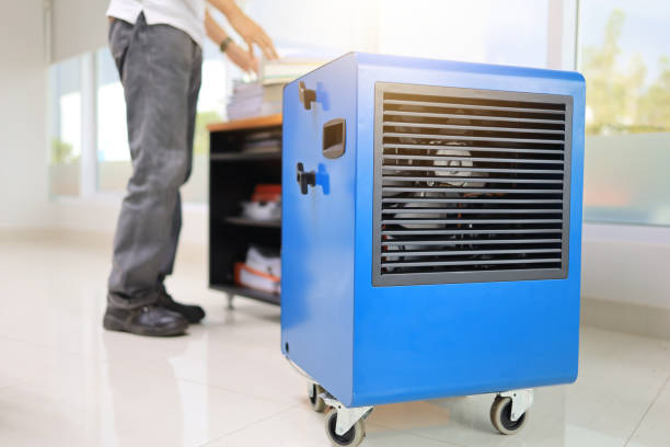 Reliable Princeton Meadows, NJ Mold Removal Solutions