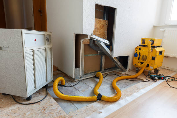 Best Industrial Mold Remediation  in Princeton Meadows, NJ