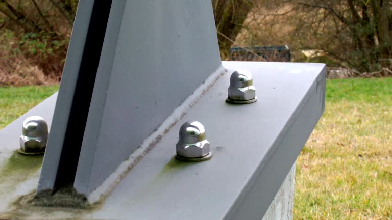 Best Real Estate Mold Inspection  in Princeton Meadows, NJ
